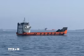 Tàu thương mại chờ đi qua eo biển Hormuz. (Ảnh: THX/TTXVN phát)