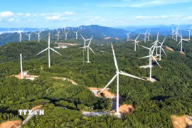 Quảng Trị vừa chấp thuận thêm 2 dự án điện gió với tổng công suất 400 MW, vốn đầu tư hơn 15.000 tỷ đồng. (Ảnh: Nguyên Linh/TTXVN)