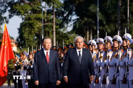 Tổng Bí thư, Chủ tịch nước Tô Lâm và Tổng thống Panama José Raúl Mulino duyệt đội danh dự. (Ảnh: Thống Nhất/TTXVN)