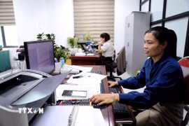 Cán bộ Ủy ban Nhân dân phường Hòa Bình nỗ lực làm việc từ 12 đến 14 giờ mỗi ngày để bảo đảm tiến độ giải quyết công việc. (Ảnh: Thanh Hải/TTXVN)