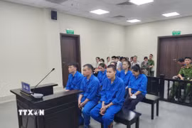 Các bị cáo tham gia vào đường dây mua bán thận tại phiên tòa. (Ảnh: Kim Anh/TTXVN)