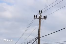 (Ảnh minh họa: Thanh Thủy/TTXVN)