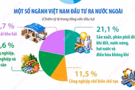  Đầu tư của Việt Nam ra nước ngoài trong 9 tháng đạt 2,77 tỷ USD 