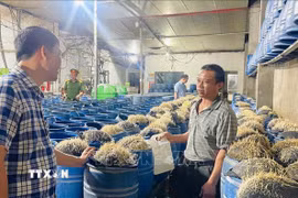 Số thực phẩm đông lạnh không có hóa đơn, chứng từ chứng minh nguồn gốc, xuất xứ bị lực lượng chức năng tỉnh Ninh Bình thu giữ tháng 5/2025. (Ảnh: Hải Yến/TTXVN)