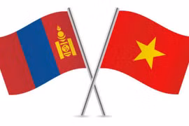 Ảnh minh họa.