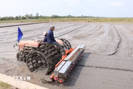Cơ giới hóa trong khâu gieo sạ ở thành phố Cần Thơ. (Ảnh: Thu Hiền/TTXVN)