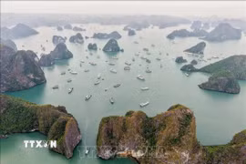 Phong cảnh tuyệt đẹp của Vịnh Hạ Long thu hút sự quan tâm của nhiều du khách. (Ảnh: Hoàng Hiếu/ TTXVN)