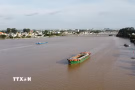 Triều cường sông Đồng Nai tại trạm thủy văn Biên Hòa chiều ngày 10/10 lên xấp xỉ báo động 3. (Ảnh: Sỹ Tuyên/TTXVN)