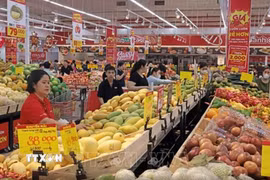 (Ảnh minh họa. Nguồn: TTXVN)