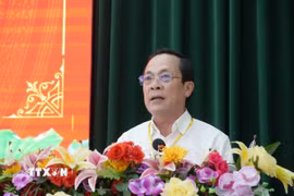 Phó Bí thư Tỉnh ủy Vĩnh Long Lâm Minh Đằng phát biểu tại hội thảo. (Ảnh: Phạm Minh Tuấn/TTXVN)