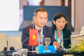 Ông Nguyễn Hồng Minh - Phó Cục trưởng Cục Thể dục thể thao Việt Nam phát biểu tại hội nghị. (Ảnh: Nguồn Tổng cục Du lịch, Văn hóa và Thể thao)
