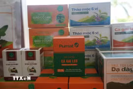 Từ việc trồng thử nghiệm cà gai leo, dây thìa canh, Công ty cổ phần Dược liệu Pù Mát, tại xã Con Cuông, từng bước xây dựng vùng nguyên liệu, đầu tư máy móc và phát triển các sản phẩm trà, bột, cao dược liệu. (Ảnh: Bích Huệ/TTXVN)