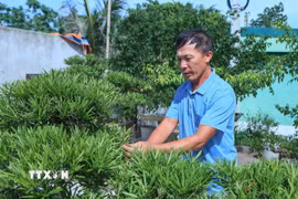 Cựu chiến binh Đỗ Đình Giao chăm sóc vườn cây cảnh của gia đình. (Ảnh: Công Luật/TTXVN)
