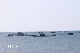 Nghề nuôi biển đang được đầu tư phát triển tại vùng biển xã Vĩnh Hải, tỉnh Khánh Hòa. (Ảnh: Công Thử/TTXVN)