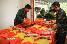 Tiến hành đánh giá tình trạng hài cốt, sau đó sẽ tiến hành lấy mẫu ADN để xác định danh tính liệt sỹ. (Ảnh: Hoàng Hiếu/TTXVN)