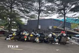 Rác thải ùn ứ tại khu vực đường Phan Chu Trinh, phường Vĩnh Phúc. (Ảnh: Nguyễn Thảo/TTXVN)