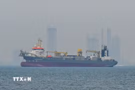 Tàu thương mại thả neo ngoài khơi Dubai, Các tiểu vương quốc Arab thống nhất, do gián đoạn hoạt động vận tải ở eo biển Hormuz. (Ảnh: AA/TTXVN)