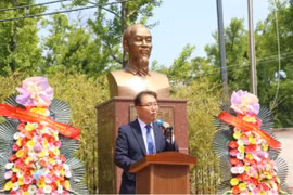 Giáo sư Park Yeon Kwan - Trưởng khoa tiếng Việt của Đại học Ngoại ngữ Hàn Quốc. (Ảnh: Trường Giang/TTXVN)