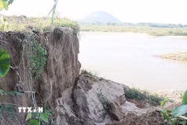 Sạt lở bờ sông Trà Khúc qua thôn An Lạc, xã Trà Giang cuốn trôi đất sản xuất của người dân. (Ảnh: Phạm Cường/TTXVN)