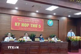 Phó Chủ tịch Ủy ban Nhân dân tỉnh Cà Mau Lâm Văn Bi trình bày dự thảo các tờ trình tại kỳ họp Hội đồng Nhân dân tỉnh. (Ảnh: Trung Hiếu/TTXVN)