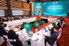 Quang cảnh buổi khai mạc Hội nghị Ban Điều phối ASEAN-OSHNET lần thứ 27 tại Đà Nẵng. (Ảnh: Trần Lê Lâm/TTXVN)