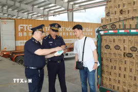 Hải quan cửa khẩu Chi Ma, tỉnh Lạng Sơn kiểm soát mã số, chủng loại hàng hóa nhập khẩu. (Ảnh: Quang Duy/TTXVN)