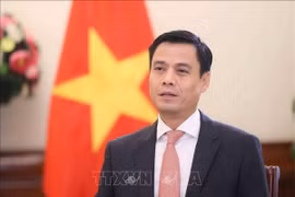 Thứ trưởng Bộ Ngoại giao Đặng Hoàng Giang. (Ảnh tư liệu: An Đăng/TTXVN)