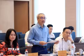 Thứ trưởng Bộ Văn hoá, Thể thao và Du lịch Phan Tâm báo cáo tờ trình Chính phủ về sửa đổi một số điều của Luật Xuất bản. (Ảnh: Tuấn Anh/TTXVN)