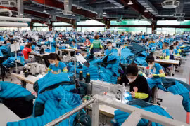 May hàng xuất khẩu tại Công ty may Maxport Thái Bình. (Ảnh: Trần Việt/TTXVN)
