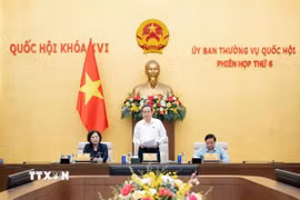Chủ tịch Quốc hội Trần Thanh Mẫn phát biểu bế mạc phiên họp. (Ảnh: Doãn Tấn/TTXVN)