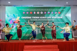 Tiết mục Múa gáo dừa. (Ảnh: Giang Phương/TTXVN)
