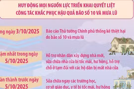 Trong ngày 3/10, báo cáo Thủ tướng Chính phủ về thiệt hại do bão số 10 và mưa lũ