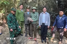 Các lực lượng chức năng thả cá thể rùa núi viền về môi trường tự nhiên. (Ảnh: TTXVN phát)