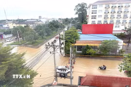 Mực nước dâng cao ảnh hưởng tới việc đi lại ở tỉnh Battambang, Campuchia. (Ảnh: Huy Bình/TTXVN)