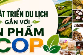 Giải pháp phát triển du lịch gắn với sản xuất và tiêu dùng sản phẩm OCOP