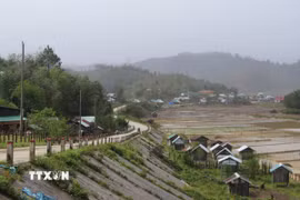 Khu vực xã Măng Bút, Quảng Ngãi. (Ảnh: Dư Toán/TTXVN)