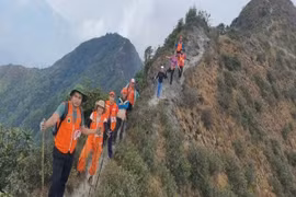 Các vận động viên tham gia "Bước chân trên mây 2025". (Nguồn: Ban Tổ chức)