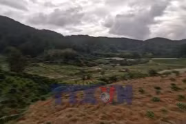 Người dân Lâm Đồng thiệt hại kép do mưa lũ