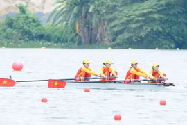 (Ảnh minh họa: TTXVN phát)