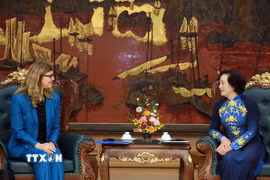 Phó Thủ tướng Phạm Thị Thanh Trà tiếp bà Silvia Danailov, Trưởng đại diện Quỹ Nhi đồng Liên hợp quốc tại Việt Nam. (Ảnh: Tuấn Anh/TTXVN)