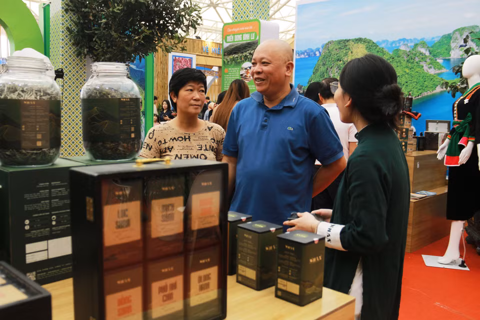 Chè Shan tuyết cổ thụ Lai Châu, thứ đặc sản chỉ có ở đỉnh núi cao được trưng bày trang trọng. (Ảnh: Trương Nhi/Vietnam+)
