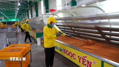 Công ty TNHH Sản xuất thực phẩm nông sản Ngọc Yến ứng dụng khoa học, công nghệ vào sản xuất. (Ảnh: Nhựt An/TTXVN)