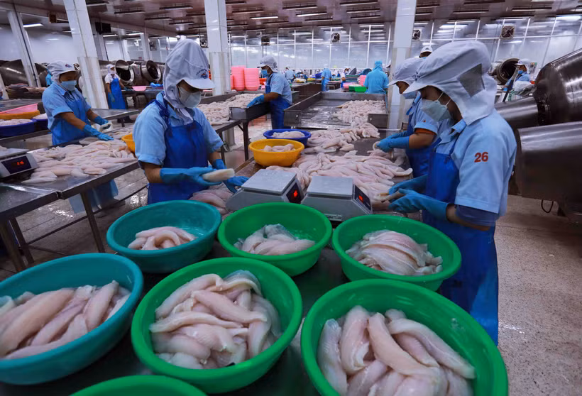 Chế biến thủy sản xuất khẩu. (Ảnh: Đức Duy/Vietnam+)