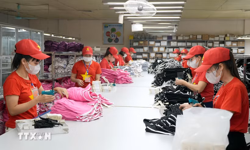 Công nhân lao động sản xuất tại một doanh nghiệp. (Ảnh: TTXVN)