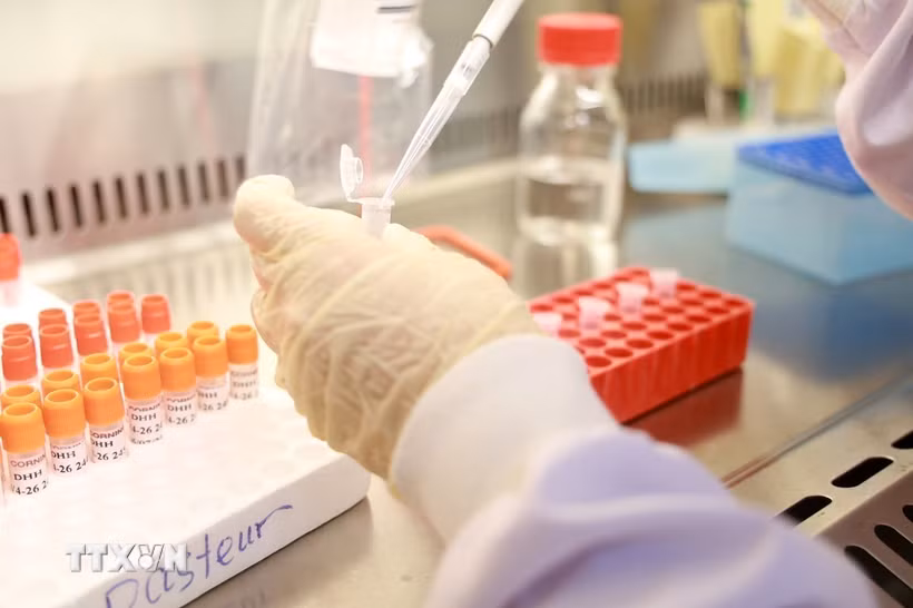 Nhân viên y tế thực hiện quy trình xét nghiệm và phân lập virus. (Ảnh: TTXVN) 