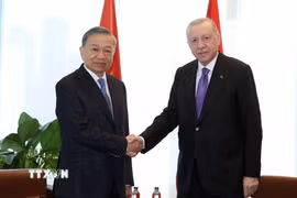 Tổng Bí thư, Chủ tịch nước Tô Lâm gặp Tổng thống Thổ Nhĩ Kỳ Recep Tayyip Erdogan. (Ảnh: Thống Nhất/TTXVN)