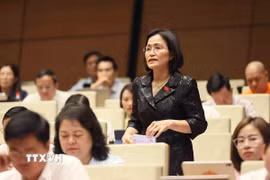 Đại biểu Quốc hội tỉnh Quảng Ninh Trần Thị Kim Nhung. (Ảnh: An Đăng/TTXVN)