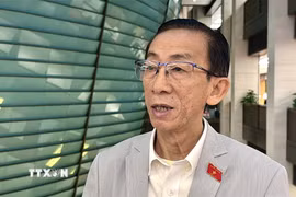 Đại biểu Trần Hoàng Ngân (Thành phố Hồ Chí Minh). (Ảnh: Hải Ngọc/TTXVN)