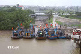 (Ảnh minh họa: Xuân Tiến/TTXVN)