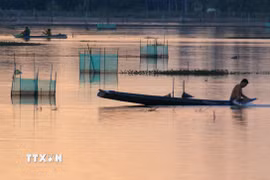 Thu hoạch cá ruộng đợt cuối tại xã Vị Thanh 1, thành phố Cần Thơ. (Ảnh: Duy Khương/TTXVN)